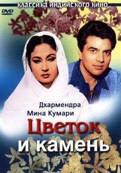Индийский фильм Цветок и камень